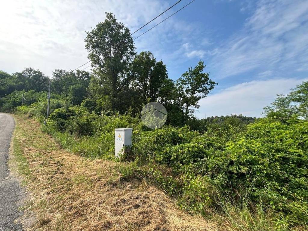 immagine annuncio 3 di 4