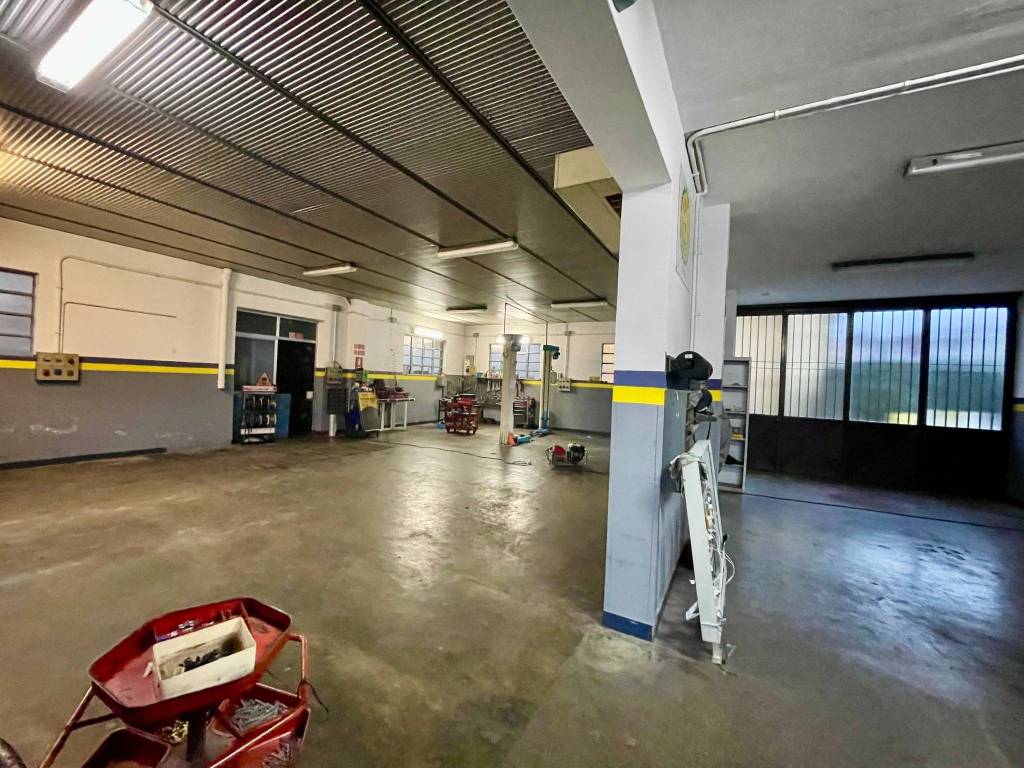 immagine annuncio 2 di 5