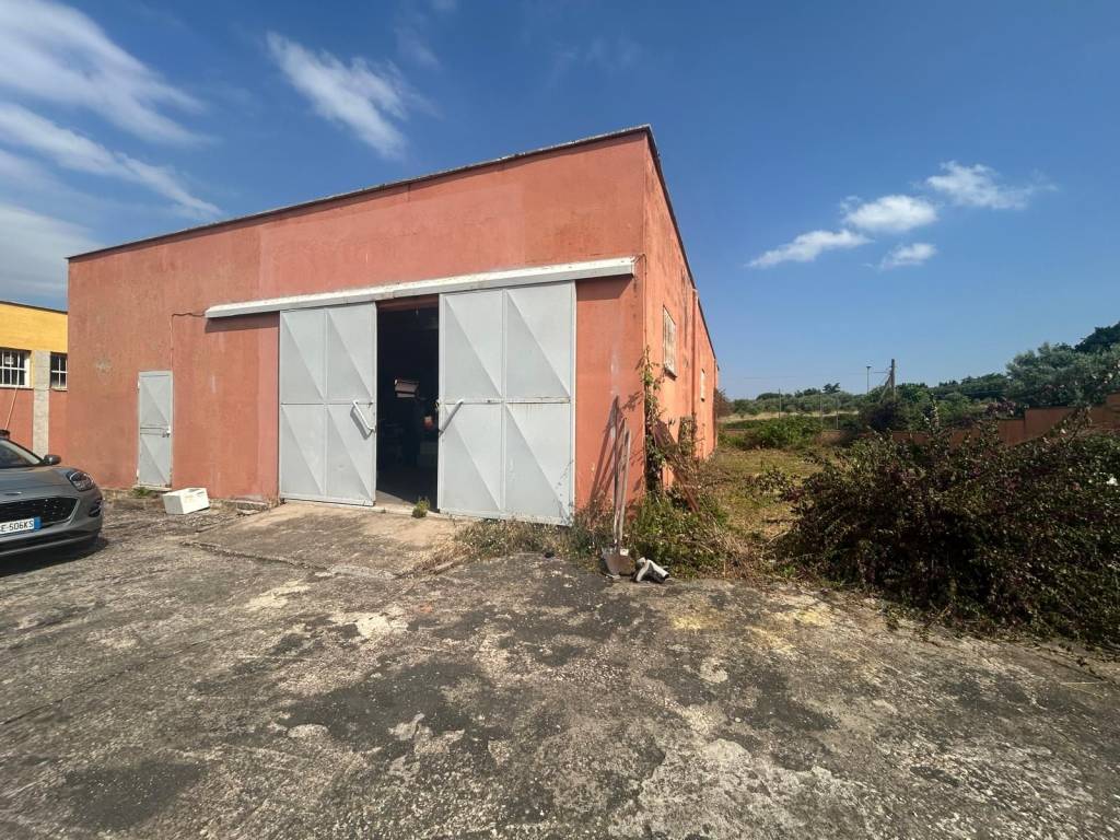 immagine annuncio 3 di 5