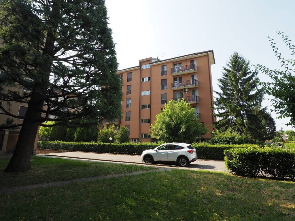 immagine annuncio 3 di 5