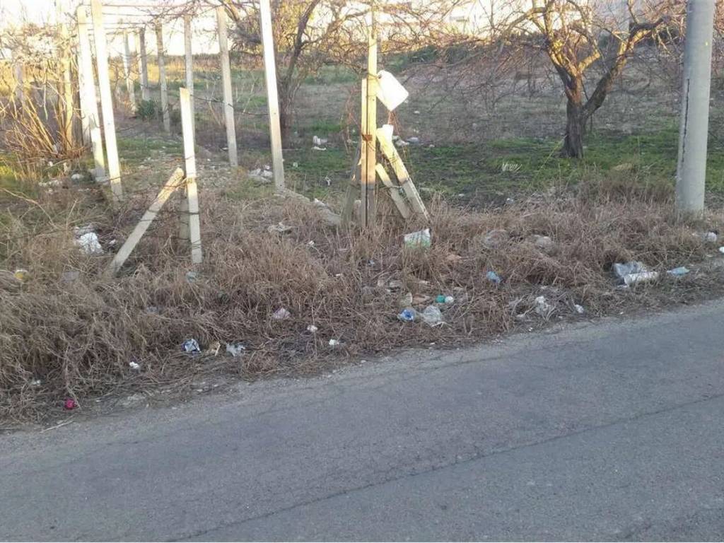 immagine annuncio 3 di 4