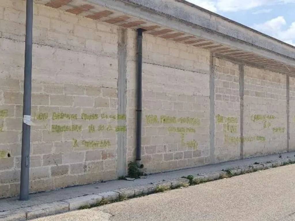 immagine annuncio 3 di 4