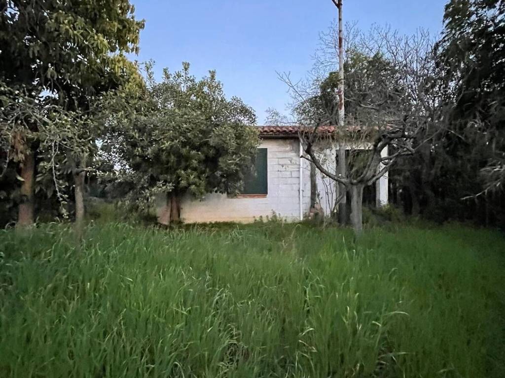 immagine annuncio 1 di 3