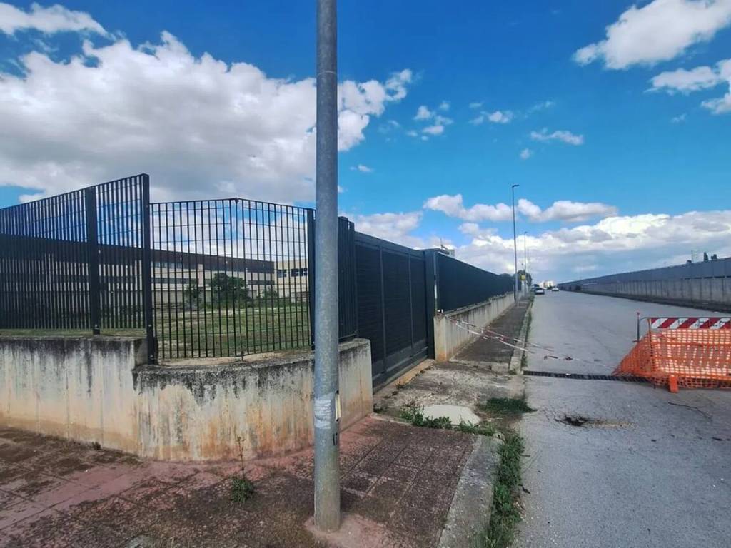 immagine annuncio 1 di 2
