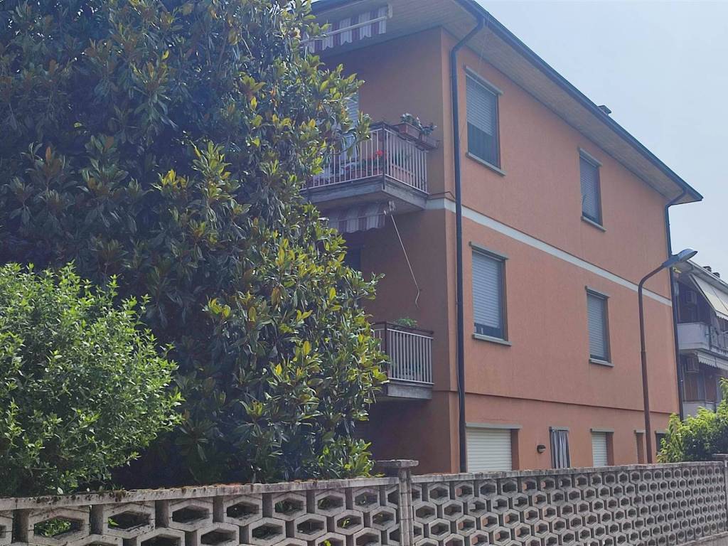immagine annuncio 1 di 4