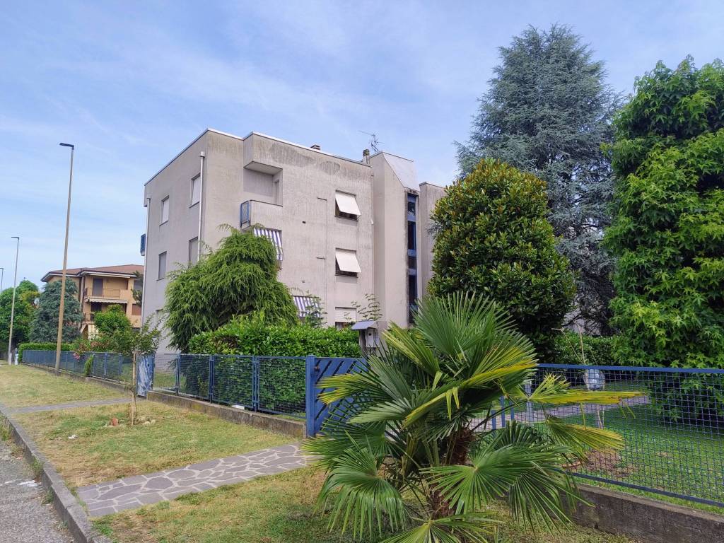 immagine annuncio 3 di 5