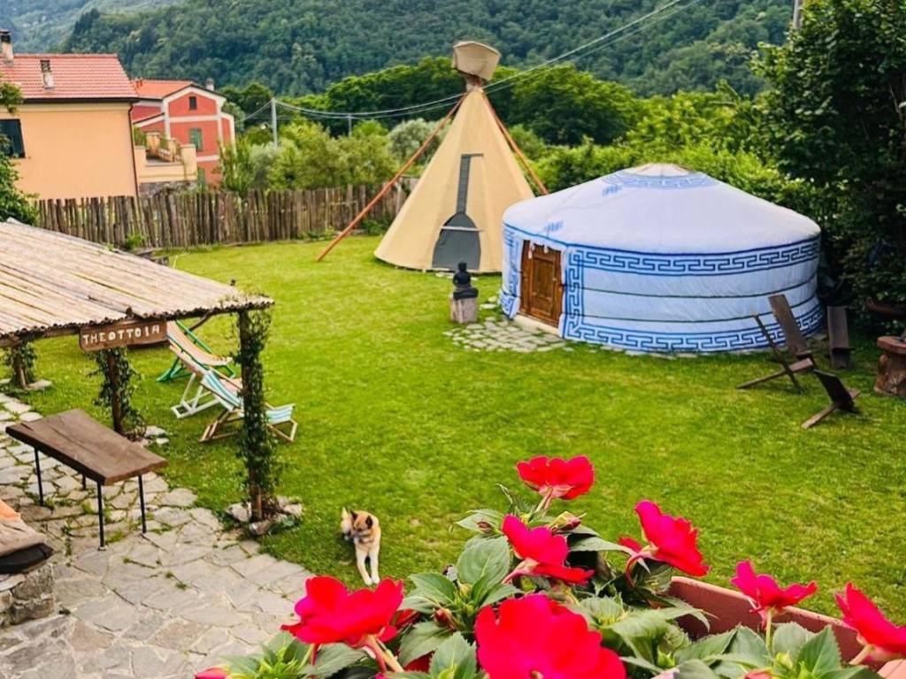 immagine annuncio 2 di 5