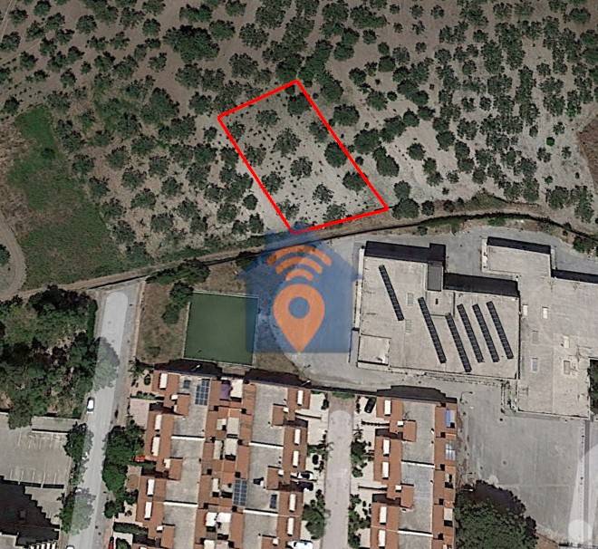 immagine annuncio 2 di 3