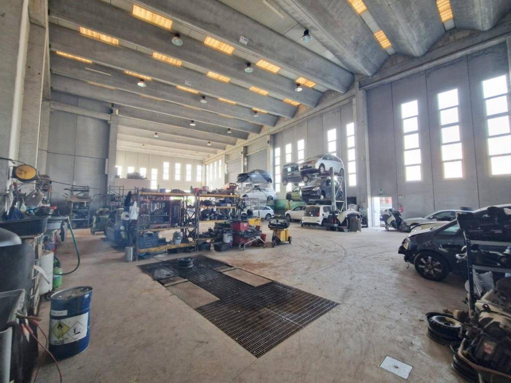 immagine annuncio 2 di 5