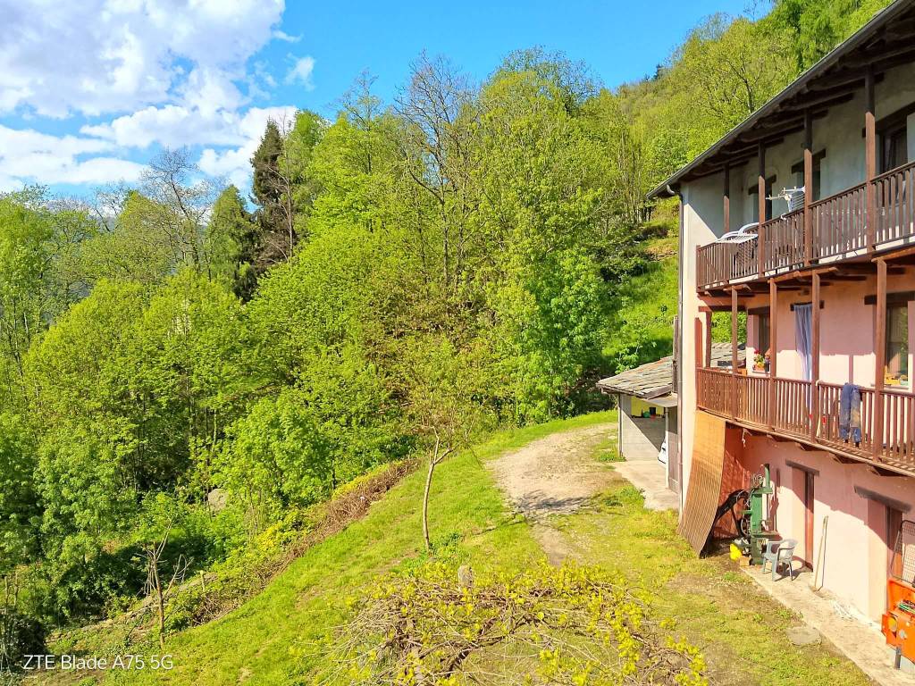 immagine annuncio 1 di 5