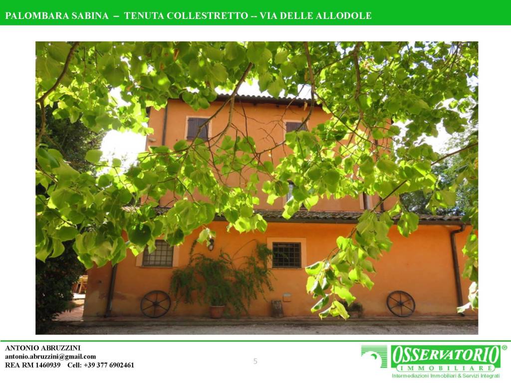 immagine annuncio 3 di 5