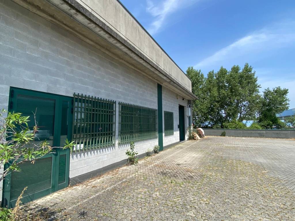 immagine annuncio 2 di 5