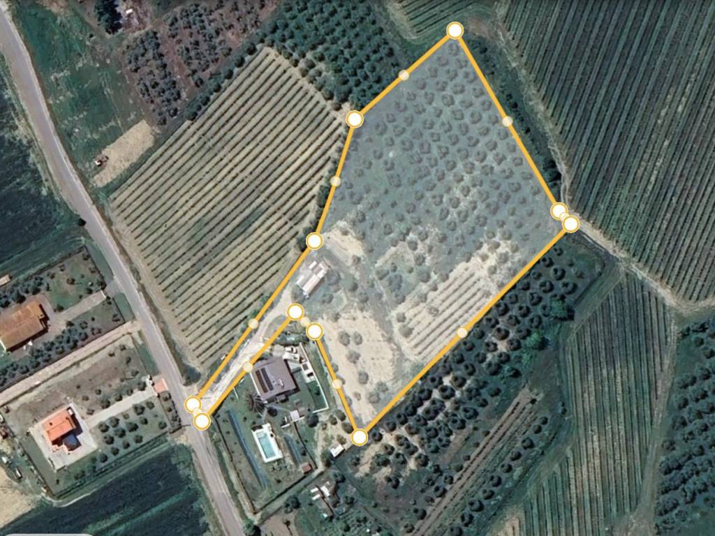 immagine annuncio 2 di 3