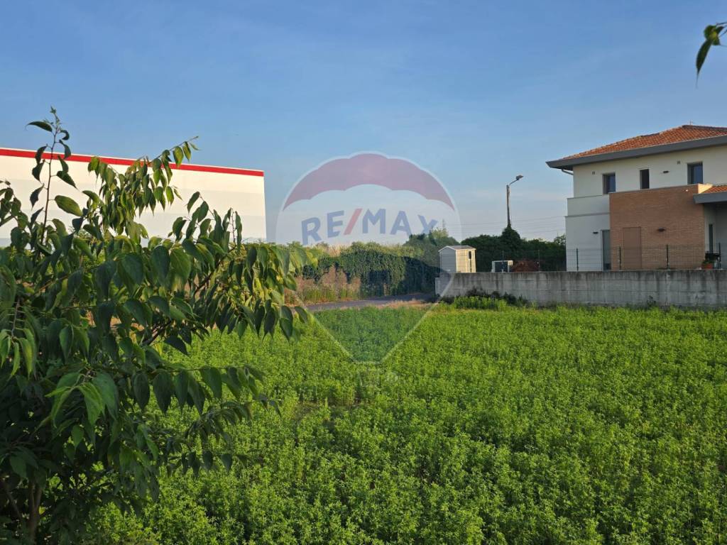 immagine annuncio 1 di 4