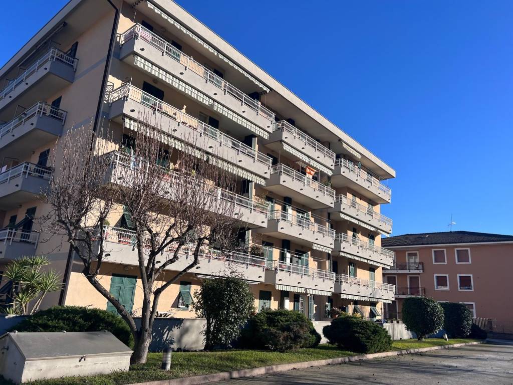 immagine annuncio 3 di 5