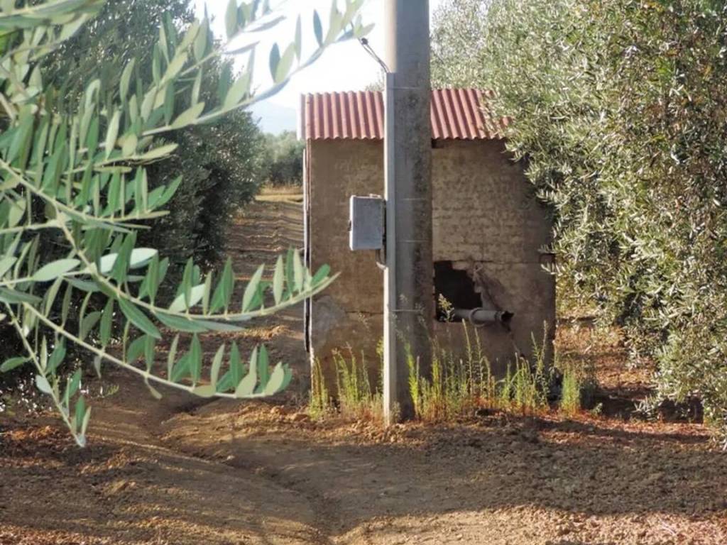 immagine annuncio 2 di 3