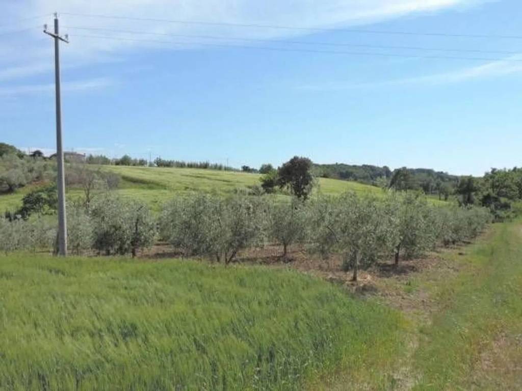 immagine annuncio 3 di 4