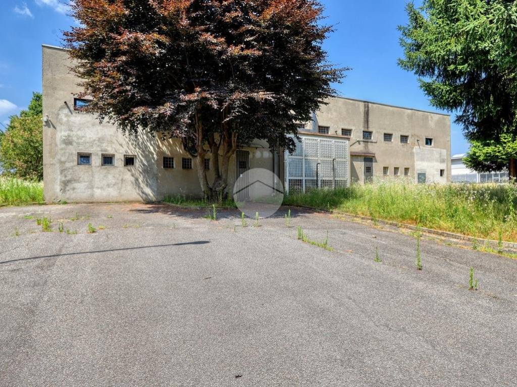 immagine annuncio 1 di 5