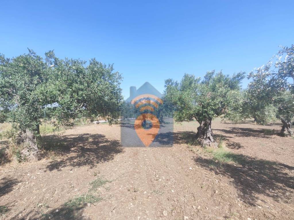 immagine annuncio 2 di 3