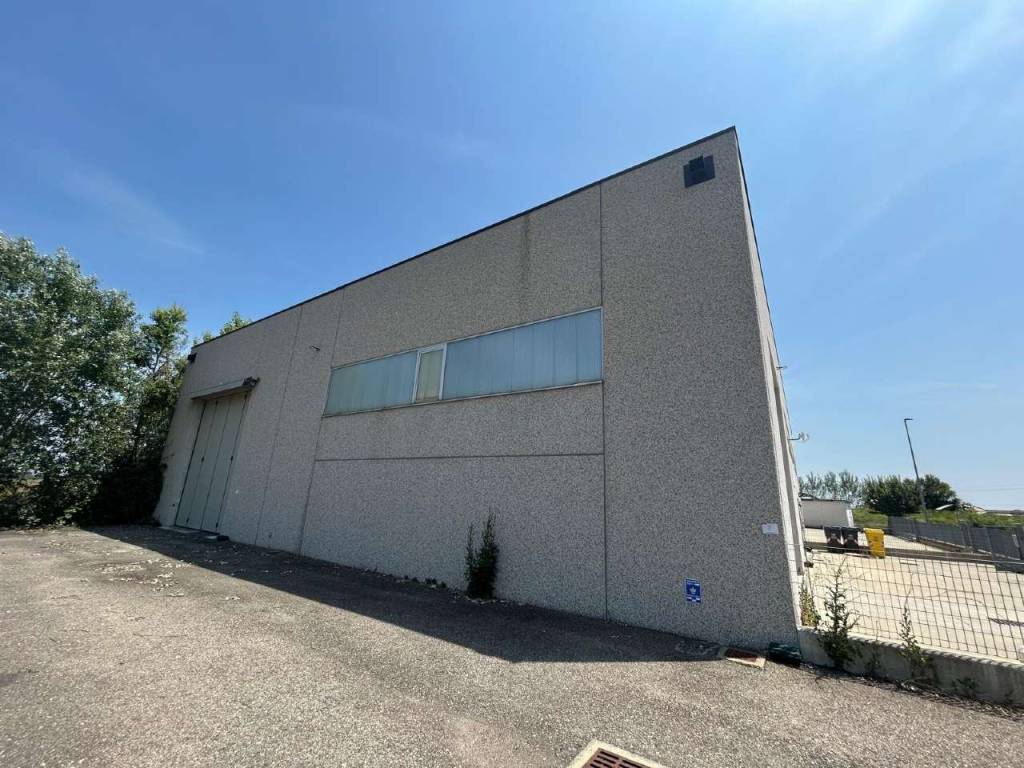 immagine annuncio 3 di 5