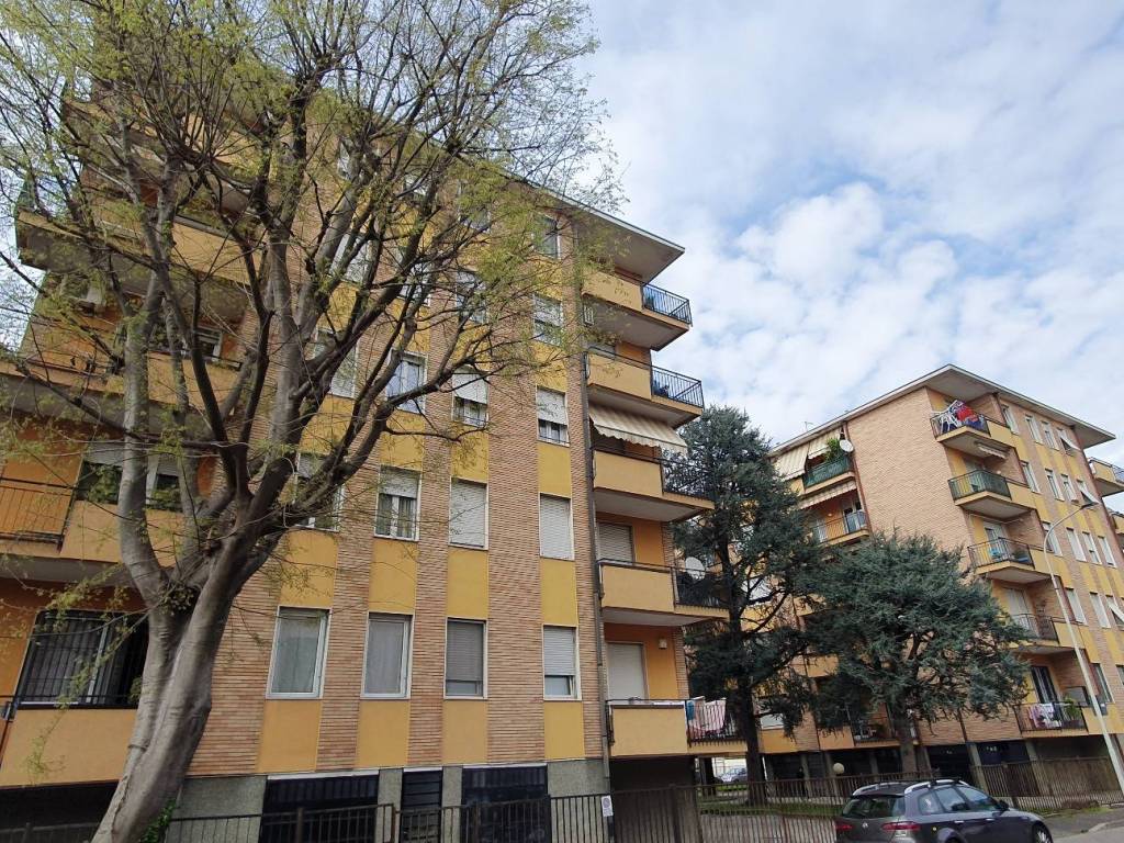 immagine annuncio 2 di 3