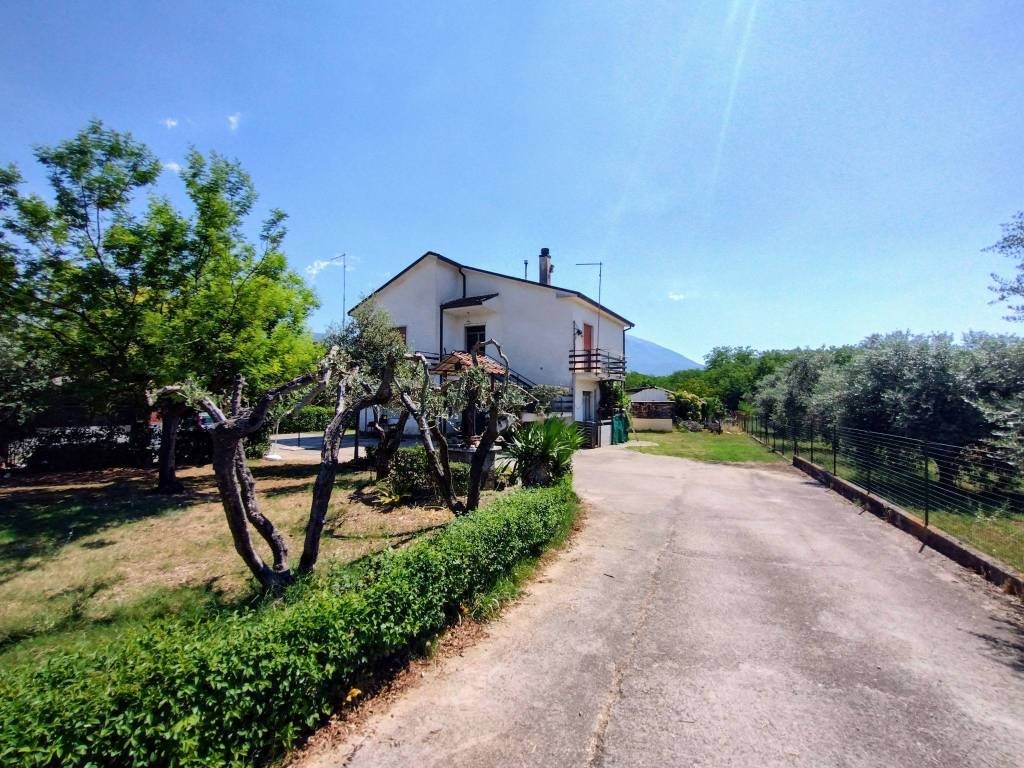 immagine annuncio 3 di 5