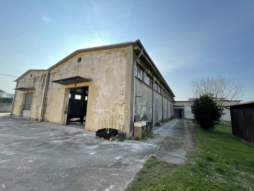 immagine annuncio 4 di 5