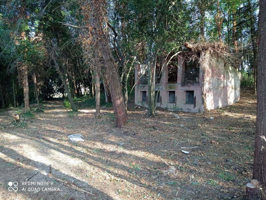 immagine annuncio 3 di 4