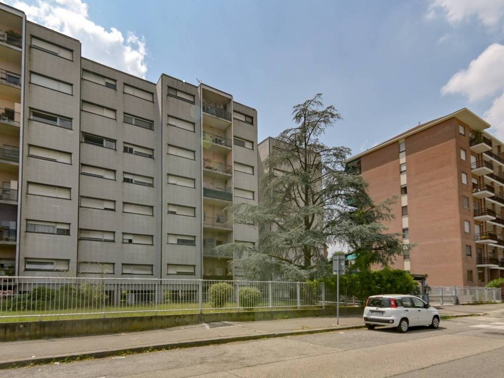 immagine annuncio 2 di 5