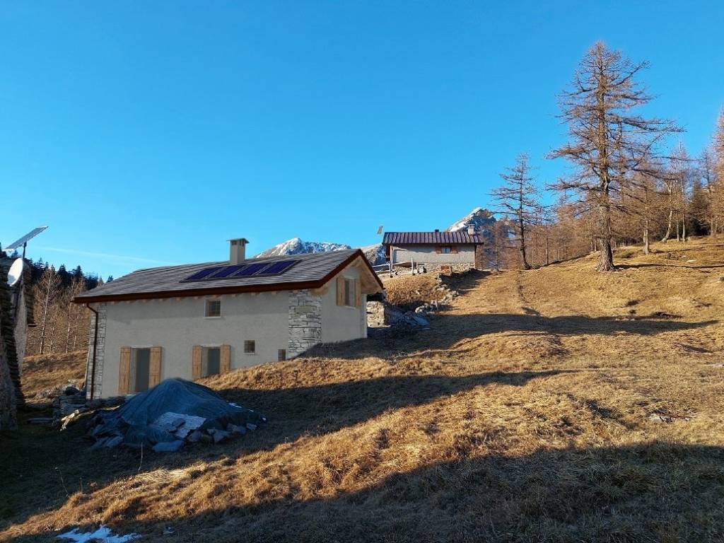 immagine annuncio 1 di 4