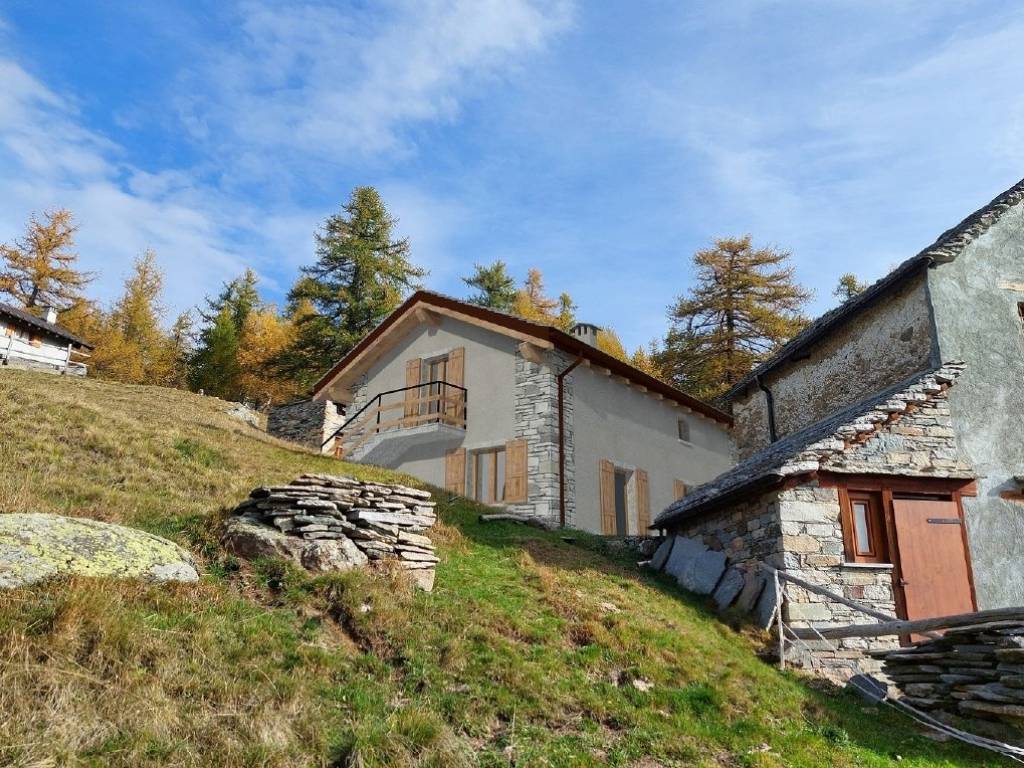 immagine annuncio 2 di 4