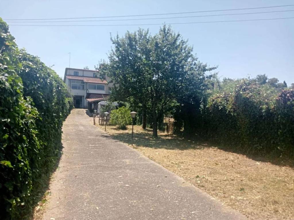 immagine annuncio 1 di 2