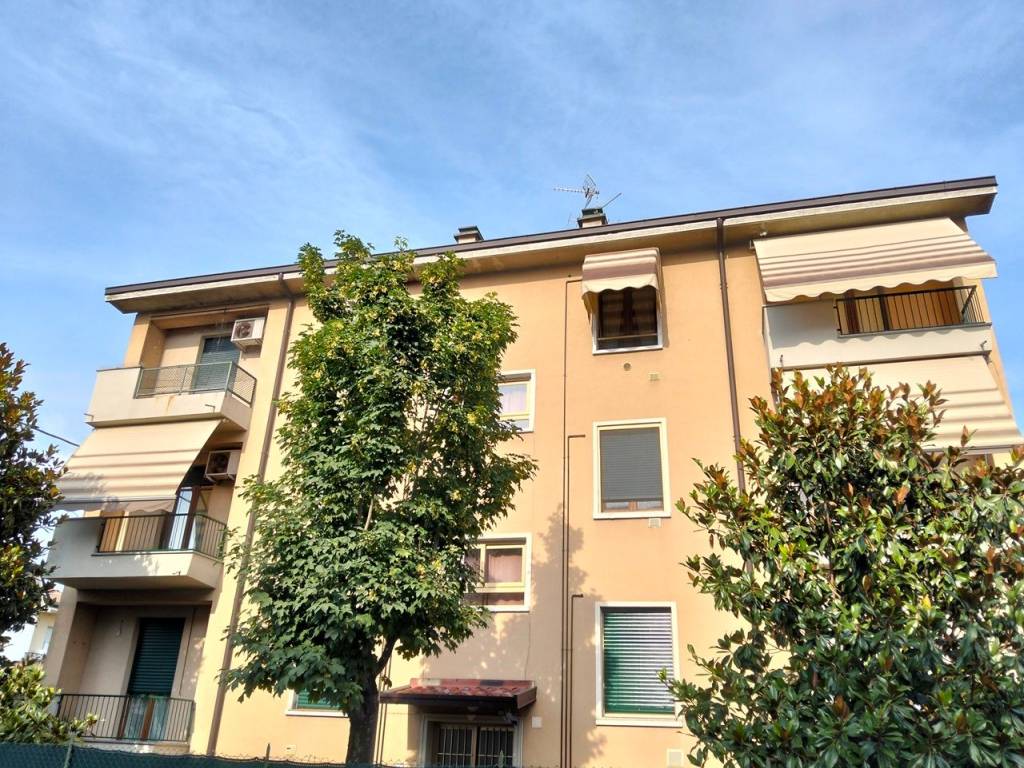 immagine annuncio 1 di 5