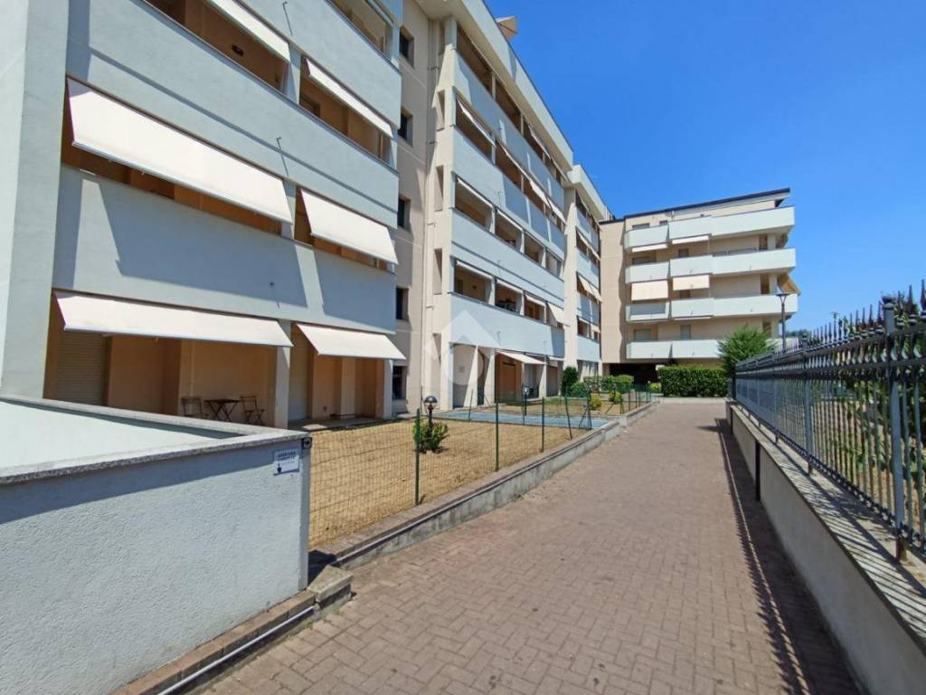 immagine annuncio 2 di 5