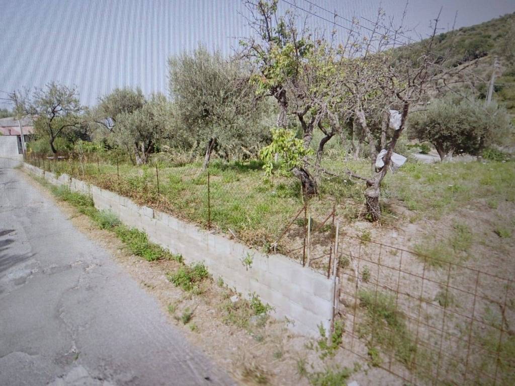 immagine annuncio 1 di 3