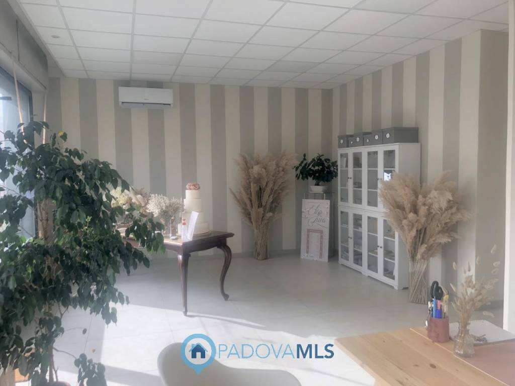negozio in vendita a Padova in zona Pontevigodarzere