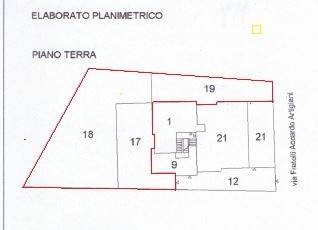 immagine annuncio 1 di 2