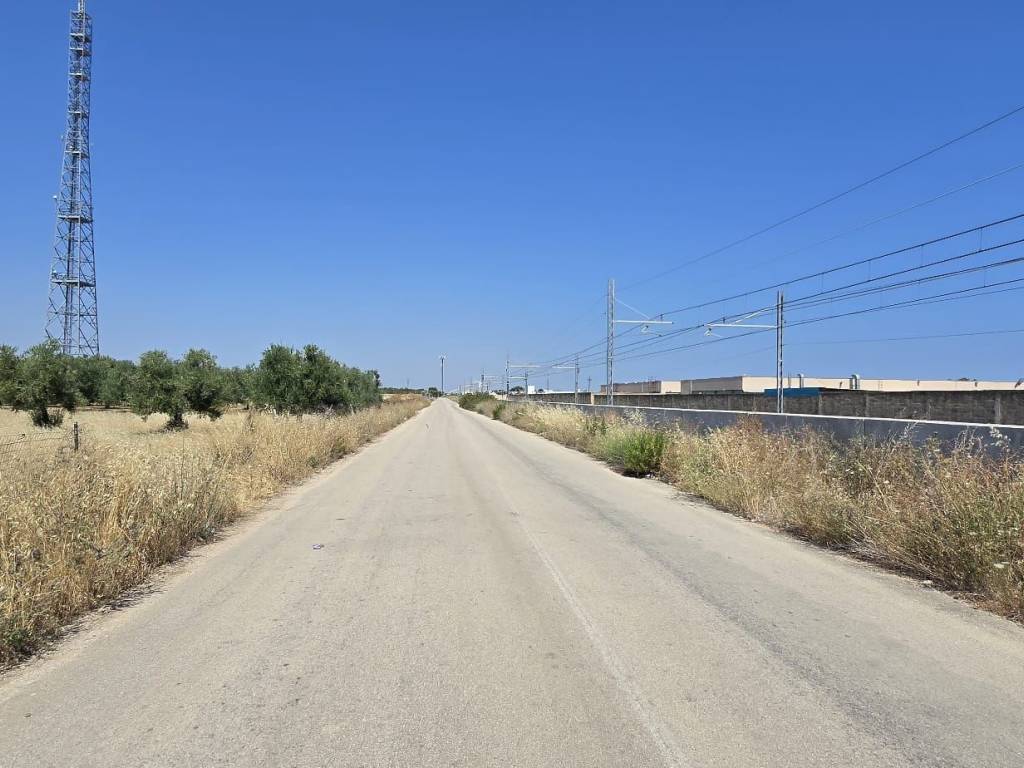 immagine annuncio 1 di 3