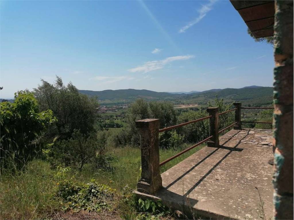 immagine annuncio 2 di 4
