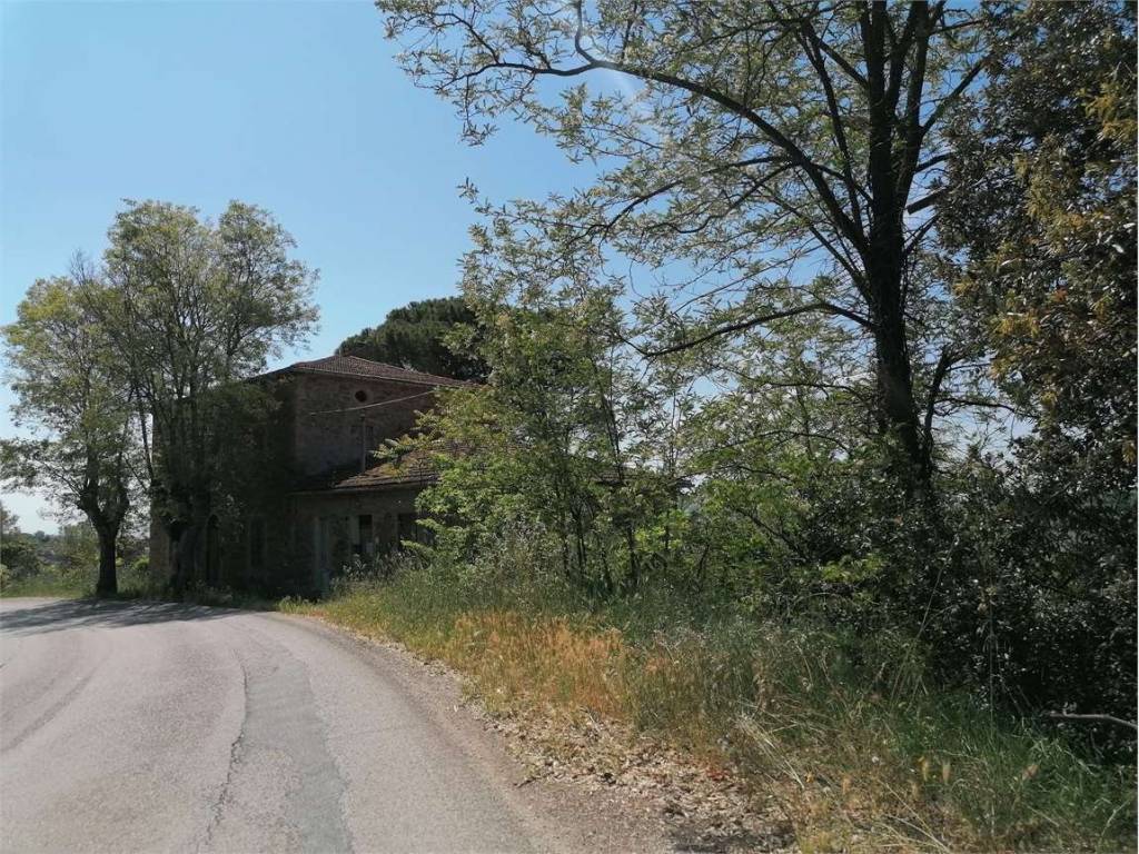 immagine annuncio 3 di 4