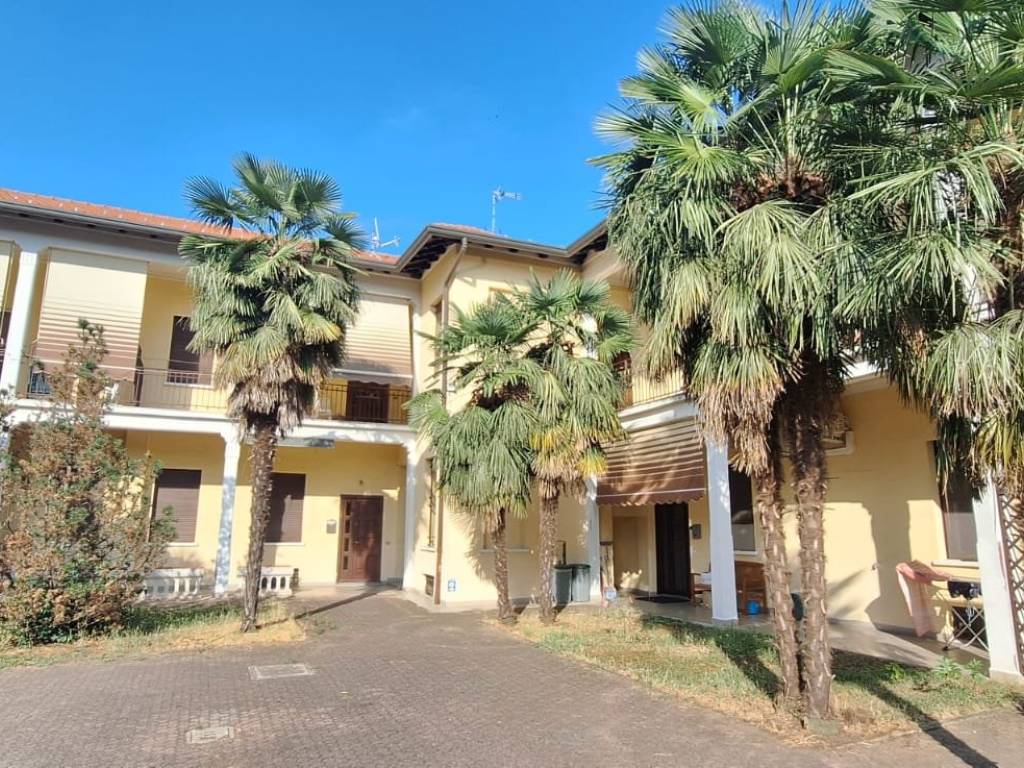 immagine annuncio 3 di 5