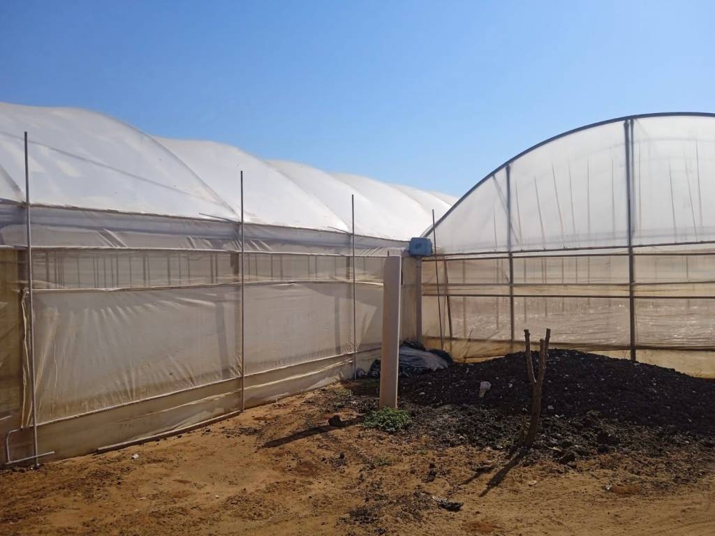 immagine annuncio 2 di 4