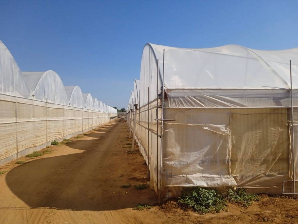 immagine annuncio 3 di 4