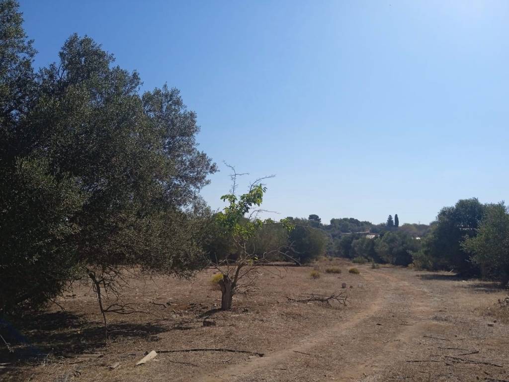 immagine annuncio 2 di 4