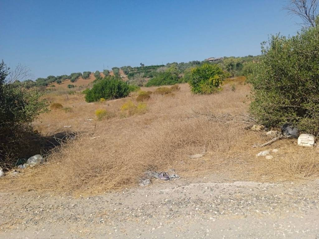 immagine annuncio 3 di 4