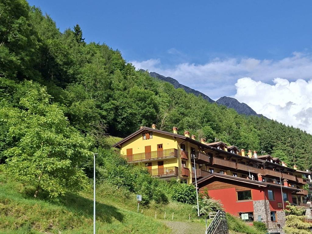 immagine annuncio 1 di 5