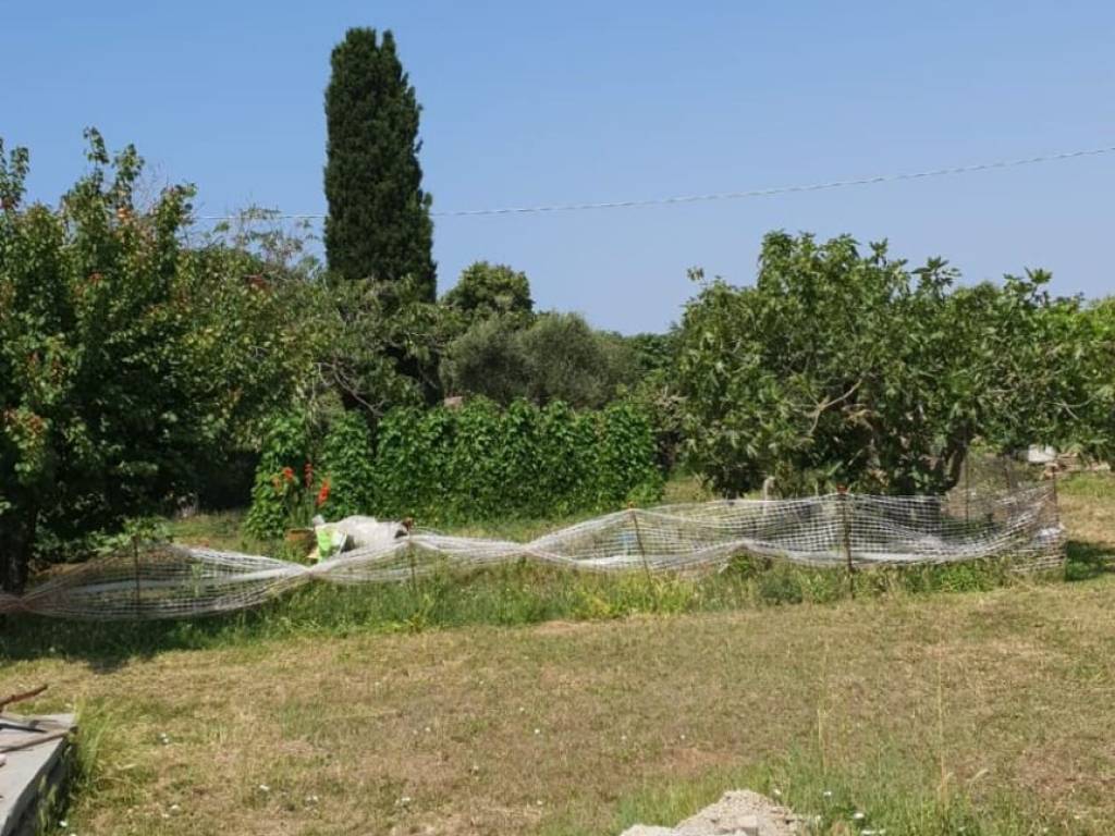 immagine annuncio 2 di 3