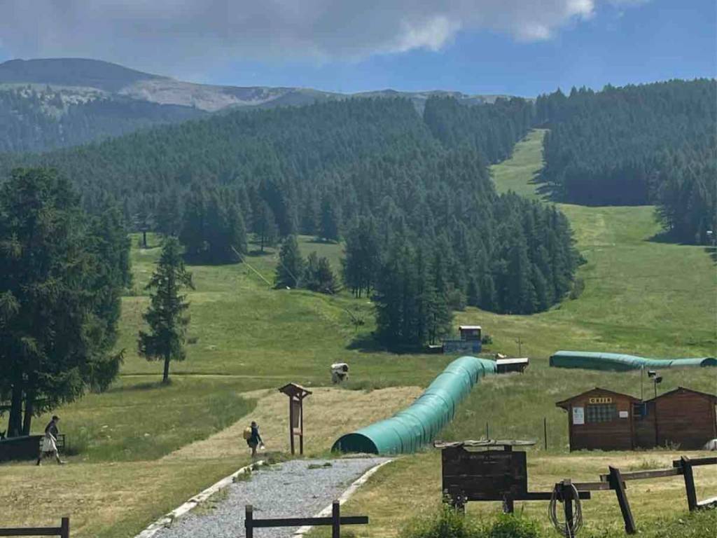 immagine annuncio 3 di 5