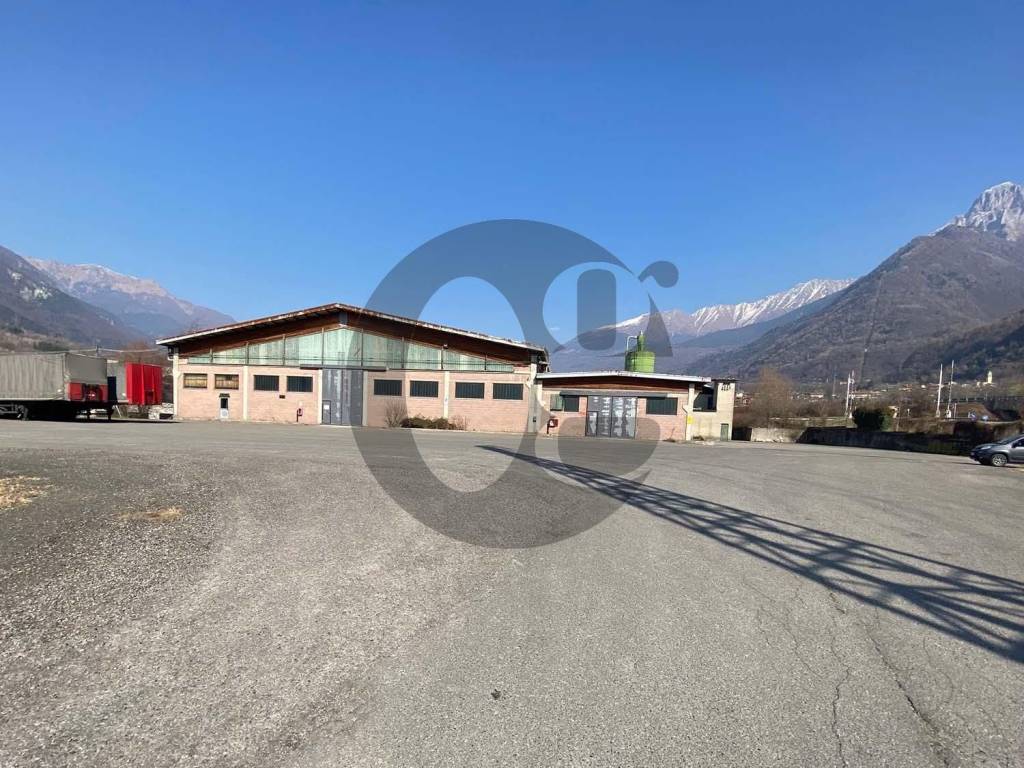 immagine annuncio 1 di 5