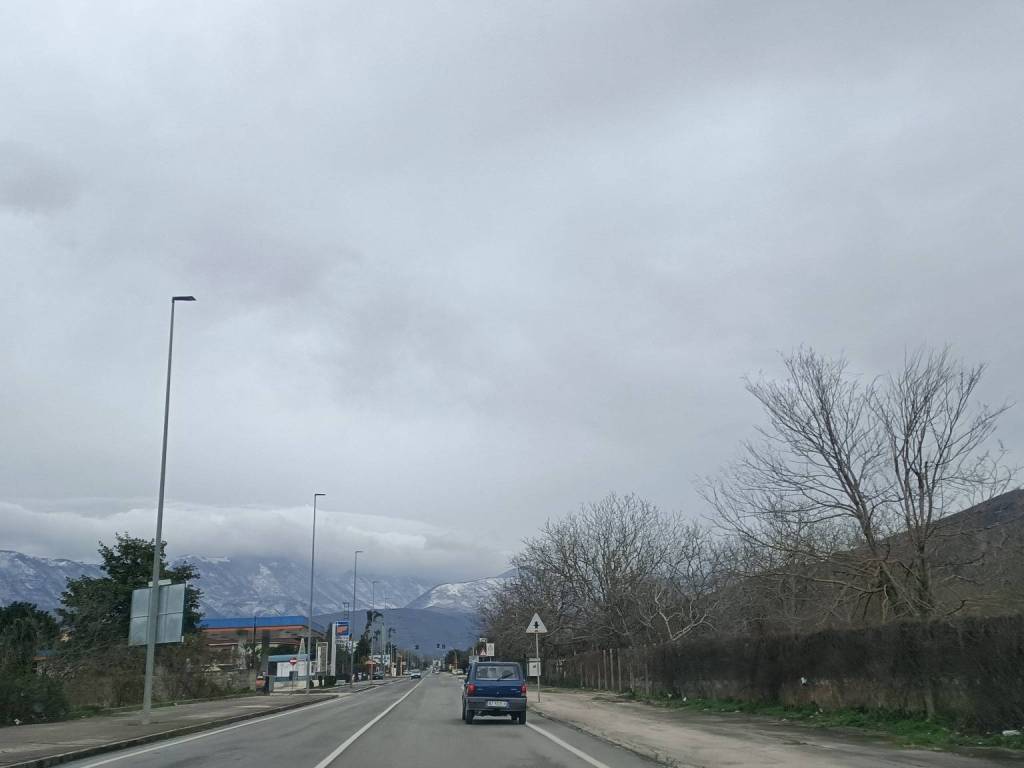 immagine annuncio 2 di 4
